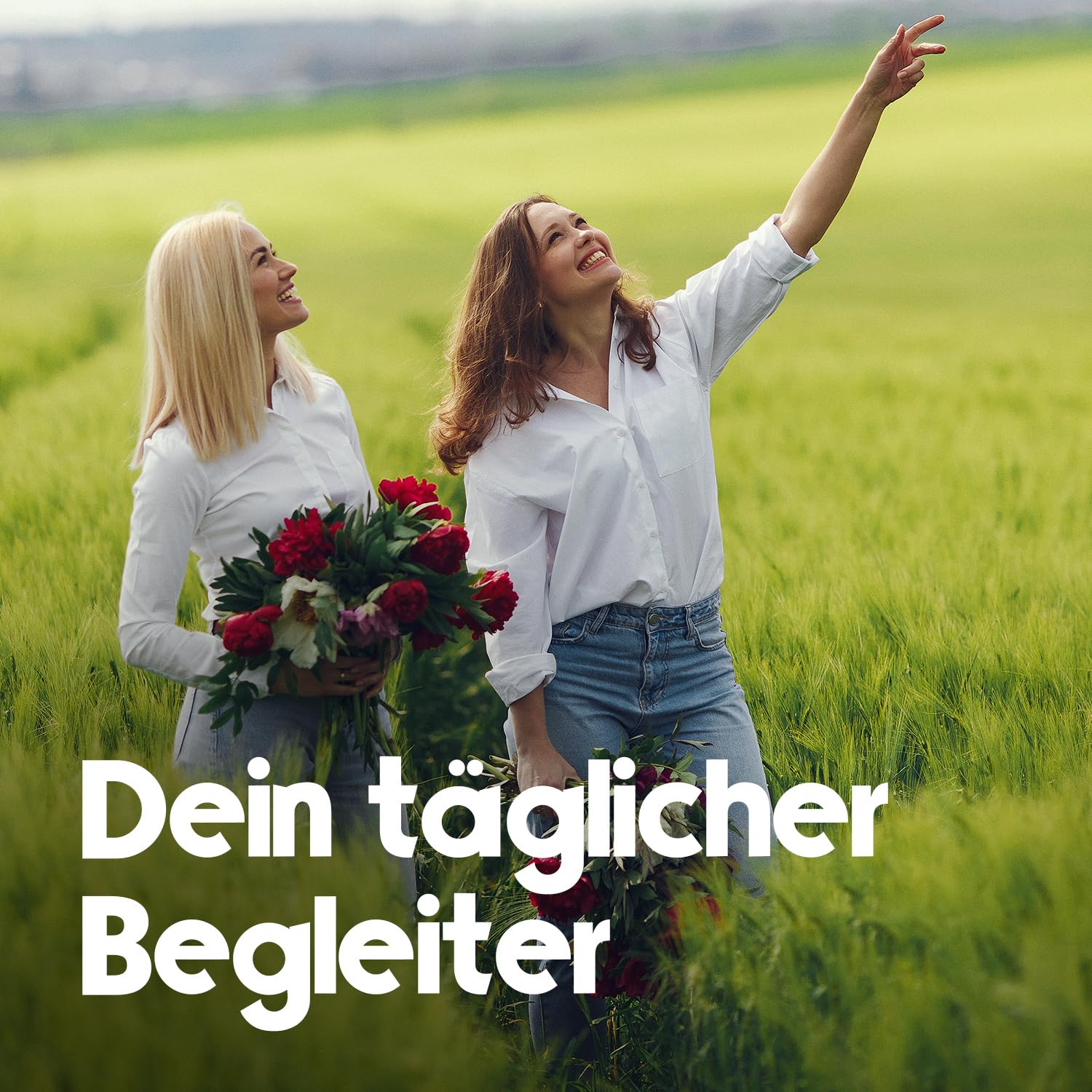 bloom-naturals-b-komplex-tabletten-200-alle-b-vitamine-energie image 2