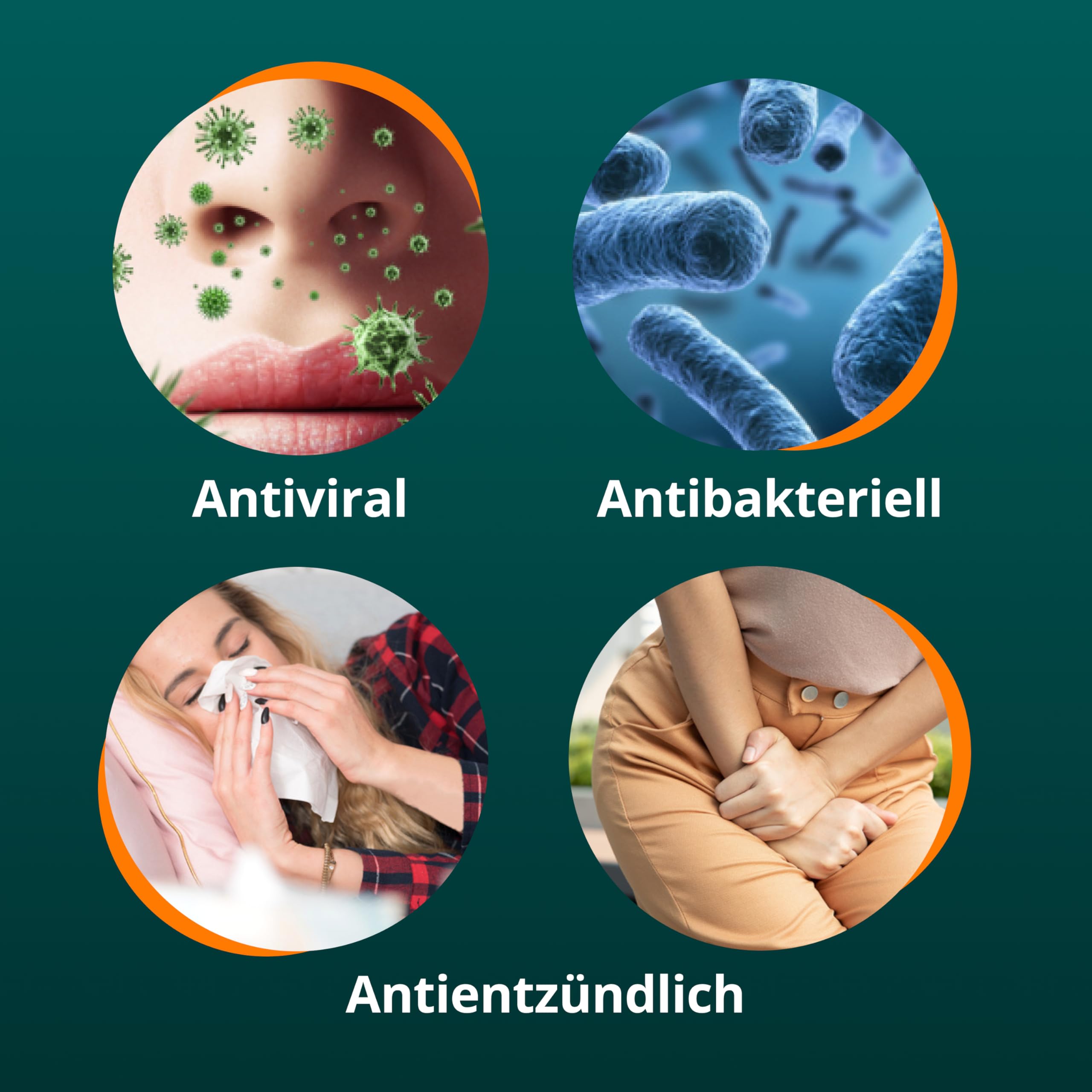 angocin-anti-infekt-n-filmtabletten-100-st-ck-pflanzlich image 4