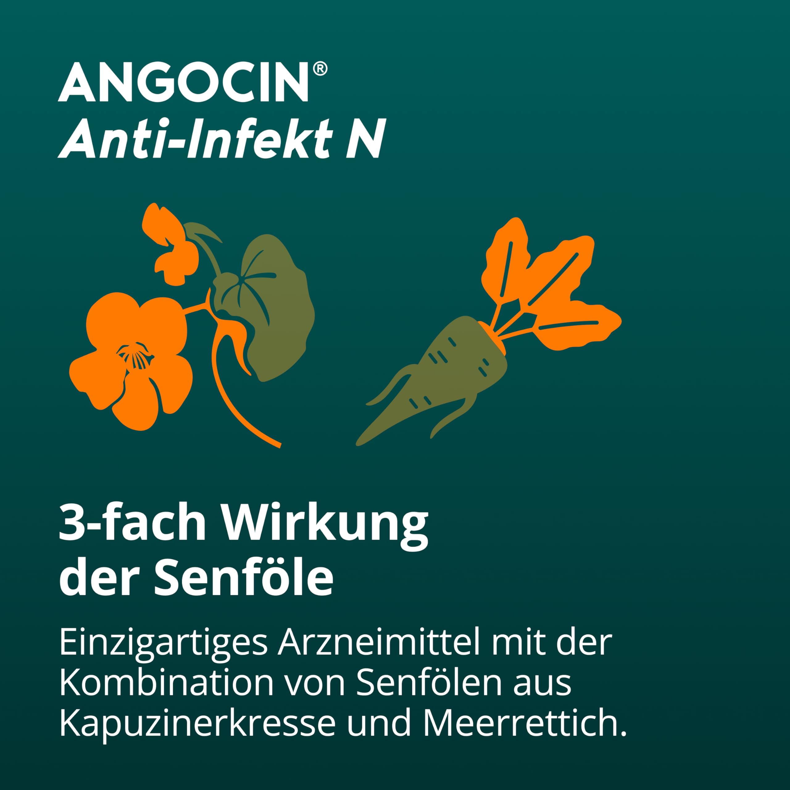 angocin-anti-infekt-n-filmtabletten-100-st-ck-pflanzlich image 3